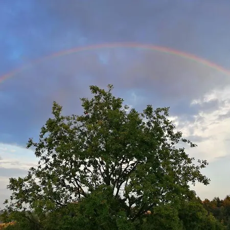 Eifelferienkurth Appartement
