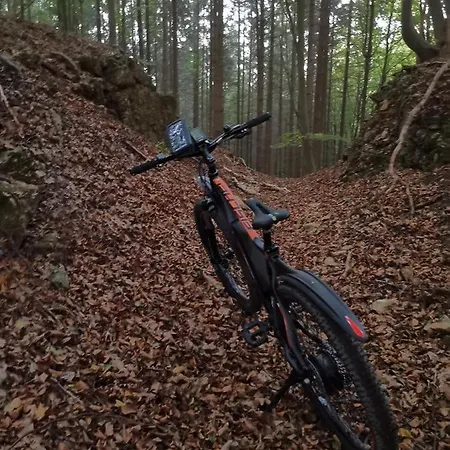 Appartement Eifelferienkurth *