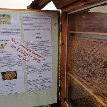 Appartement Eifelferienkurth