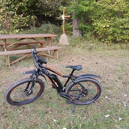 Appartement Eifelferienkurth Buir (Nettersheim)