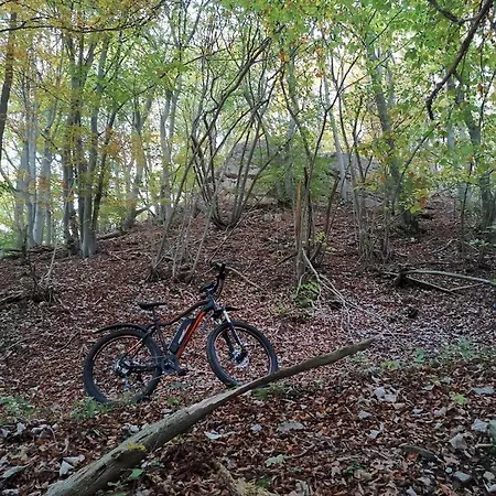 Eifelferienkurth Appartement *