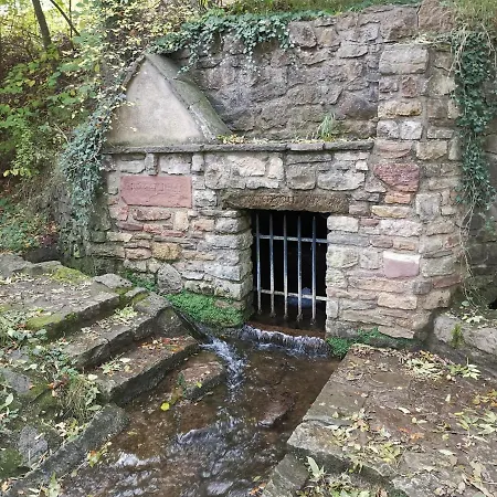 Apartment Eifelferienkurth