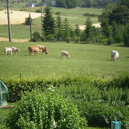 Appartement Eifelferienkurth
