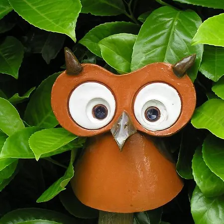 Appartement Eifelferienkurth *