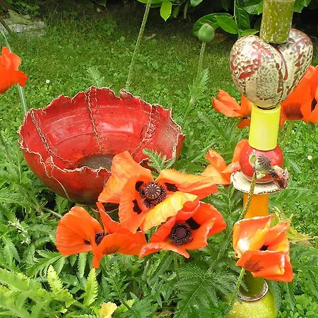 Appartement Eifelferienkurth