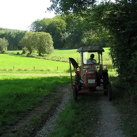 Eifelferienkurth Buir (Nettersheim)
