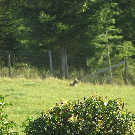 Apartment Eifelferienkurth *