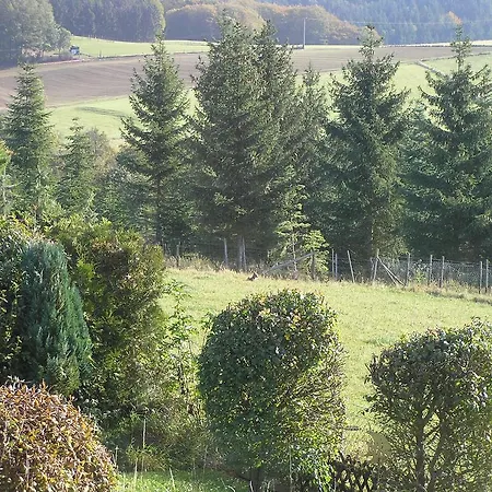 Apartment Eifelferienkurth Buir (Nettersheim)