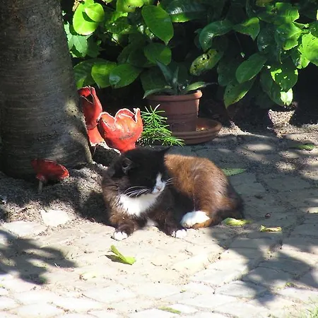 Appartement Eifelferienkurth *