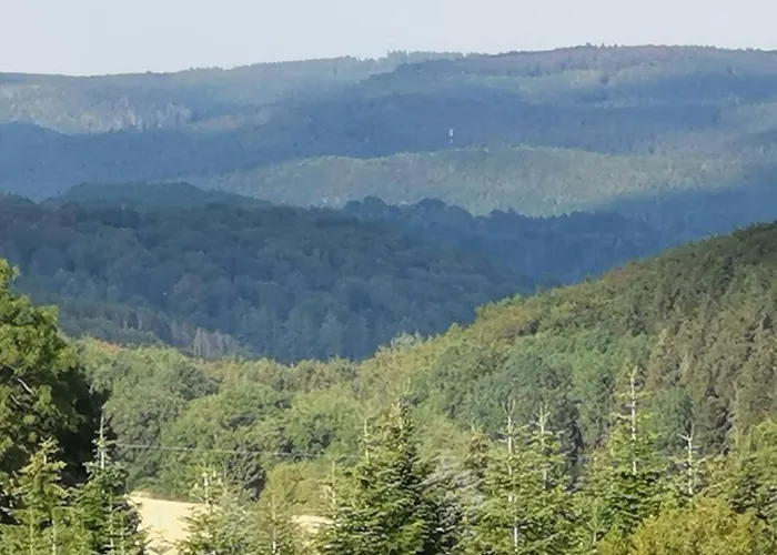 Eifelferienkurth Daire Buir (Nettersheim)