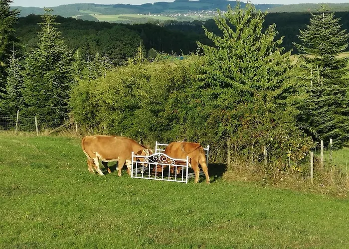 Eifelferienkurth Buir (Nettersheim)