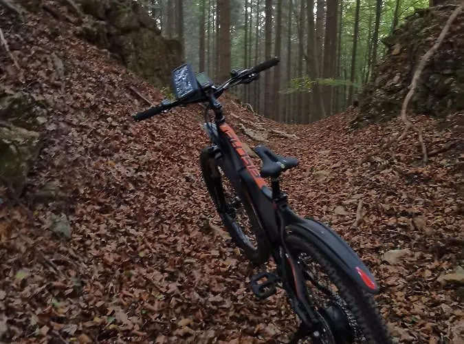 Daire Eifelferienkurth *