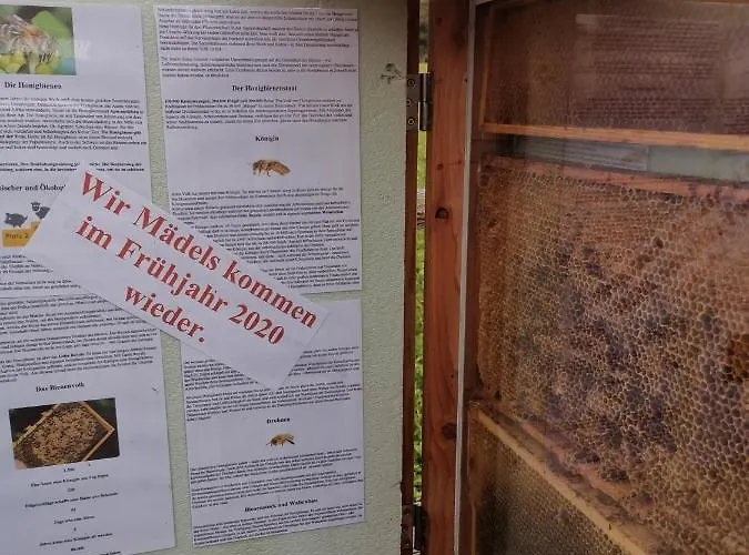 Daire Eifelferienkurth