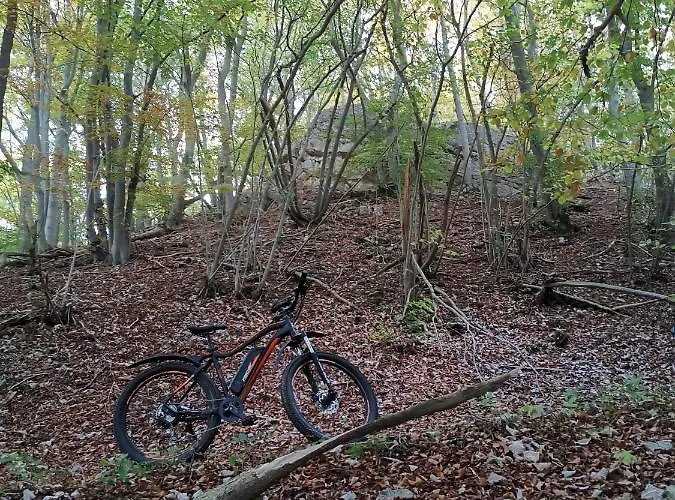 Eifelferienkurth Apartman *