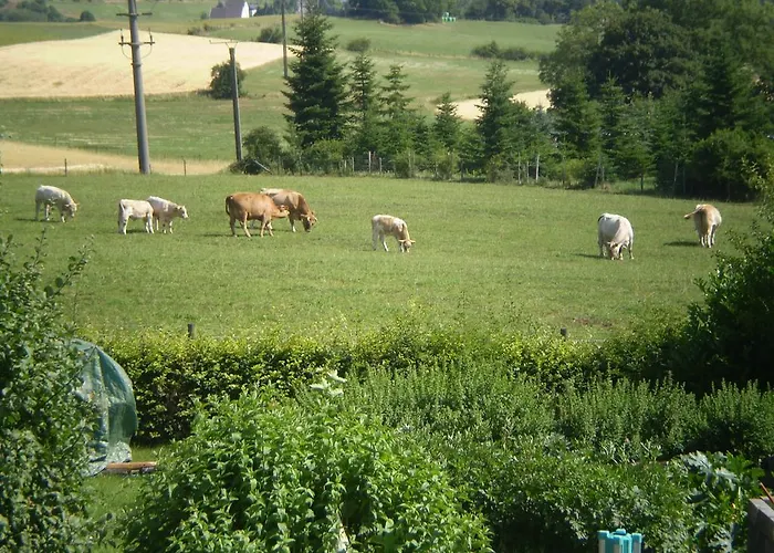 Daire Eifelferienkurth