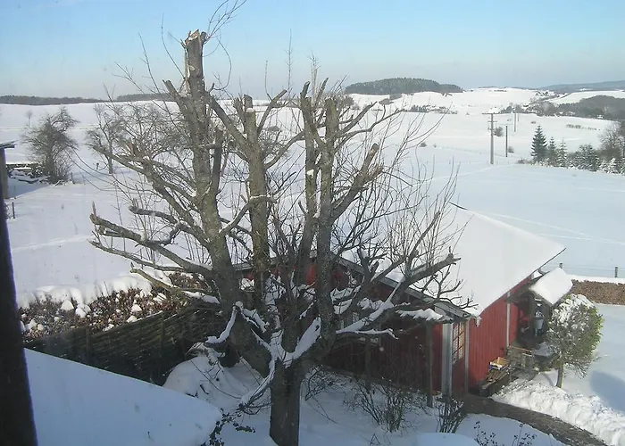 Daire Eifelferienkurth Buir (Nettersheim)