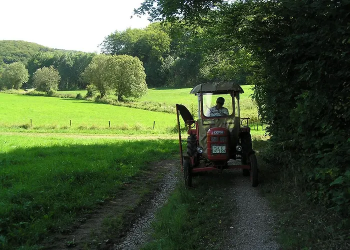 Eifelferienkurth Buir (Nettersheim)