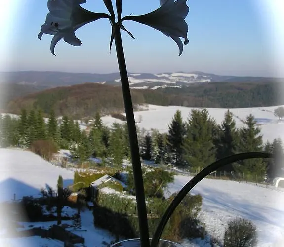 Daire Eifelferienkurth Buir (Nettersheim)